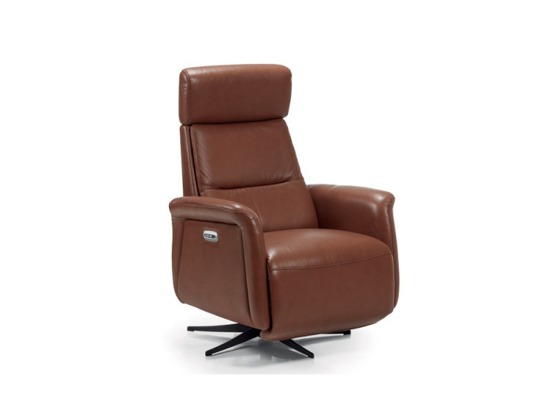 DIANA - Fauteuil relaxation 2 moteurs  