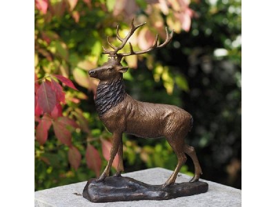 Statue en bronze : Petit Cerf 6 Bois